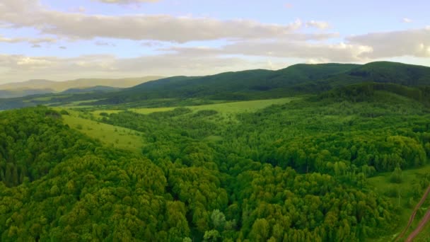 关于绿林的鸟瞰 — 图库视频影像