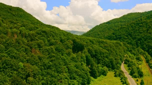 Vista aerea sul bosco negli altopiani — Video Stock