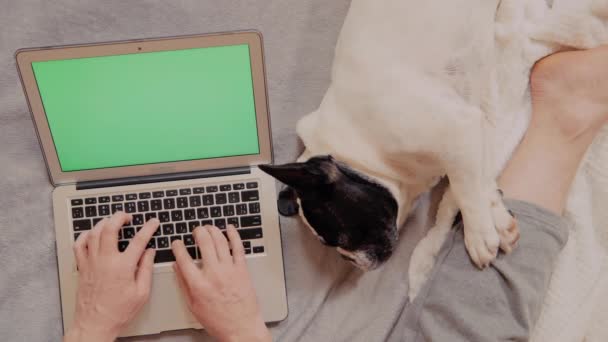 Top view man met laptop met groen scherm — Stockvideo