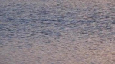 Günbatımında sakin bir akşam su