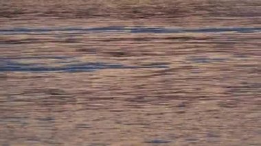 Günbatımında sakin bir akşam su