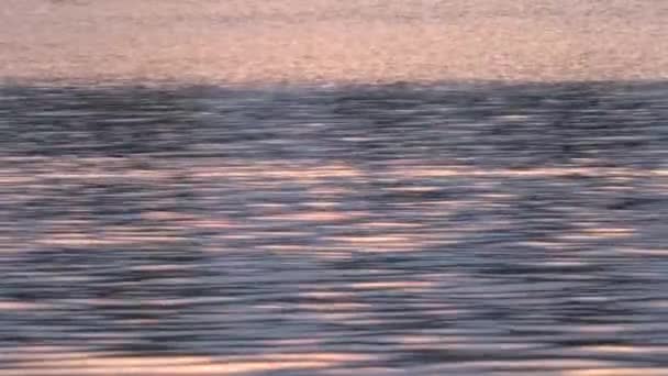 Wasser Einem Ruhigen Abend Bei Sonnenuntergang — Stockvideo