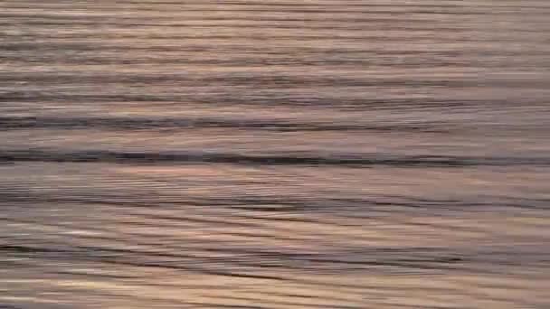 Вода Спокойный Вечер Закате — стоковое видео