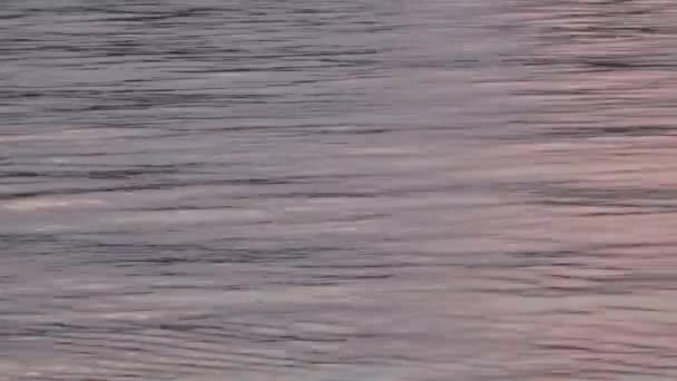 Вода Спокійний Вечір Заході Сонця — стокове відео