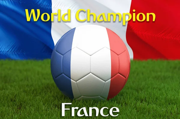 World Champion on French football team ball on big stadium background. France Team competition concept. France flag on ball team tournament. Sport competition on green grass background. 3d rendering