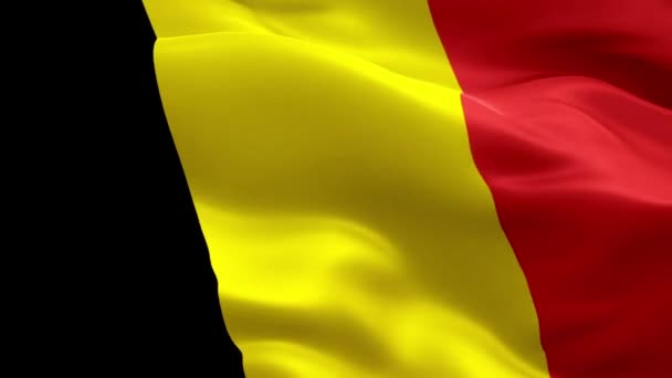 Belgio Bandiera Video Sventola Nel Vento Realistico Sfondo Bandiera Belga — Video Stock