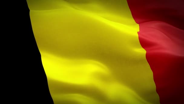 België Vlag Video Wuiven Wind Realistische Belgische Vlag Achtergrond België — Stockvideo