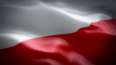 Polonya bayrak video rüzgarda sallayarak. Gerçekçi Polonya bayrağı arka plan. Polonya bayrağı döngü Closeup 1080p Full Hd 1920 x 1080 görüntüleri. Polonya AB Avrupa ülke bayrakları görüntüleri için film, haber video