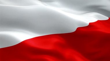 Polonya dalgalanan bayrak. Ulusal 3d Lehçe bayrak sallayarak. Polonya sorunsuz döngü animasyon iz. Polonya bayrağı Hd çözünürlük arka plan. Polonya bayrağı Closeup 1080p Full Hd video sunum için