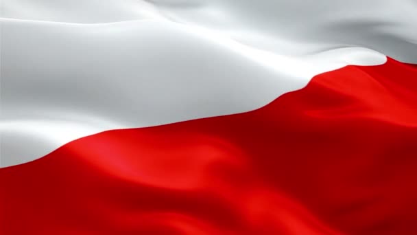 Polish Flag Closeup 1080P Full 1920X1080 Footage Video Waving Wind — Stock Video