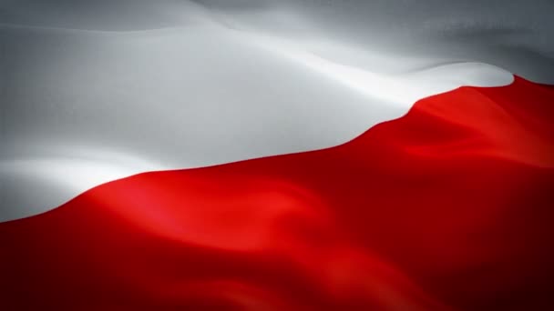 ポーランド フラグ波ループを風になびかせて 現実的なポーランド語旗の背景 ポーランド フラグ ループ クローズ アップ 1080 1920 — ストック動画