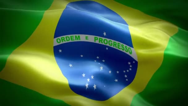 Brazilië Vlag Video Wuiven Wind Realistische Braziliaanse Vlag Achtergrond Brazilië — Stockvideo