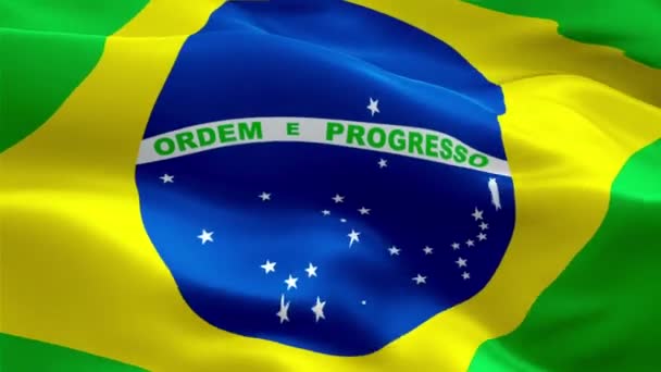 Brazilian Flag Waving Wind Video Footage Full Realistic Brazilian Flag — Stock Video