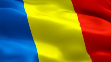 Romanya bayrağı sallayarak video görüntüleri tam Hd. gerçekçi Romanya bayrağı arka plan rüzgar. Romanya bayrağı döngü Closeup 1080p Full Hd 1920 x 1080 görüntüleri. Full Hd Romanya AB Avrupa ülke bayrakları