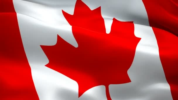 Canadian Flag Waving Wind Video Footage Full Realistic Canadian Flag — Stock Video