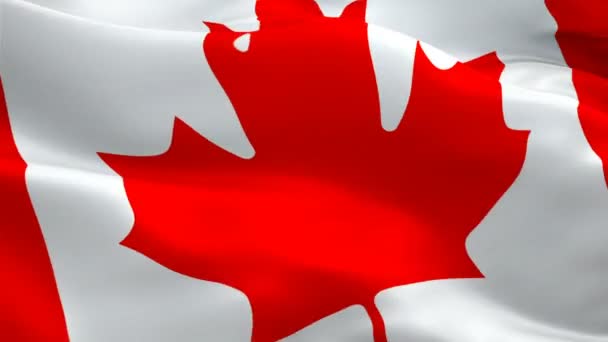 Bandeira Canadense Ottawa 1080P Full 1920X1080 Filmagem Acenando Vento Bandeira — Vídeo de Stock