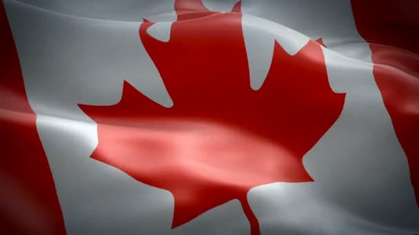 Kanada Bayrağı Video Rüzgarda Sallayarak Gerçekçi Kanada Bayrağı Arka Plan — Stok video