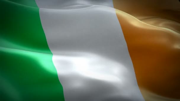 Irlanda Sventola Bandiera Nazionale Bandiera Irlandese Sventola Segno Irlanda Senza — Video Stock