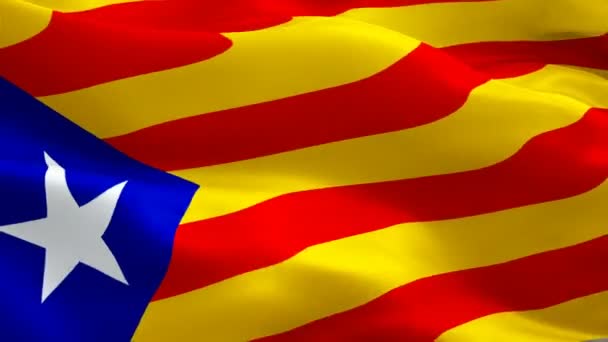 Barcelona Flag Closeup 1080P Full 1920X1080 Footage Video Waving Wind — Stock Video