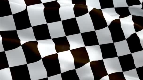 Checkered Racing Flag Pole Transition Wipe Video Waving Wind Formula — Stock Video