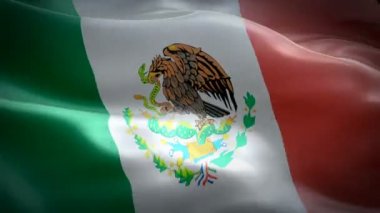Meksika bayrağı Closeup 1080p Full Hd 1920x1080 görüntüleri video rüzgarsal sallayarak. Ulusal Mexicanos 3d Meksika bayrağı sallayarak. Meksika burcu kesintisiz döngü animasyon. Meksika bayrağı Hd çözünürlük Arka Plan 1080p