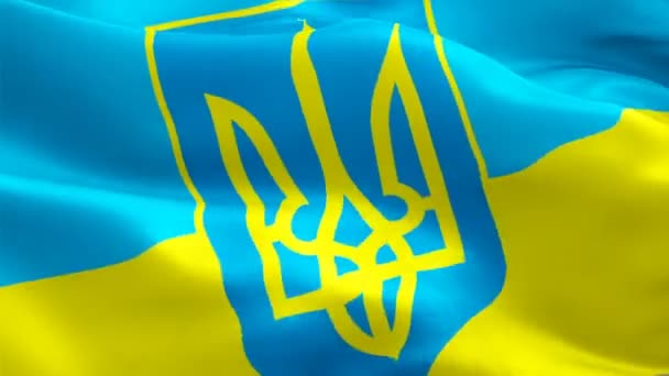 Ουκρανική Σημαία Που Χαιρετά Βίντεο Ανέμου Full Κυματιστά Σημαία Ουκρανία — Αρχείο Βίντεο