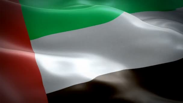 United Arab Emirates Waving Flag National Uae Flag Waving Sign — Stock Video