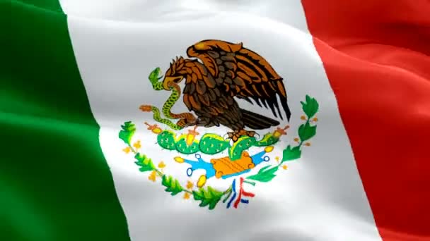 Flaga Meksyku Wideo Machając Wiatr Realistyczne Meksykańskie Flagi Tle Mexicanos — Wideo stockowe