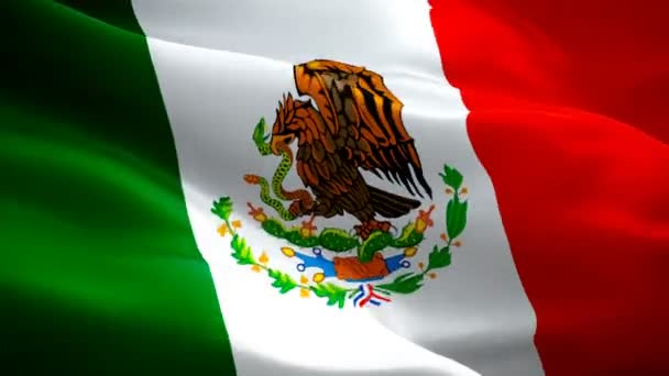 Mexiko Viftande Flagga Nationella Mexikanska Flaggan Vinka Tecken Mexiko Sömlös — Stockvideo