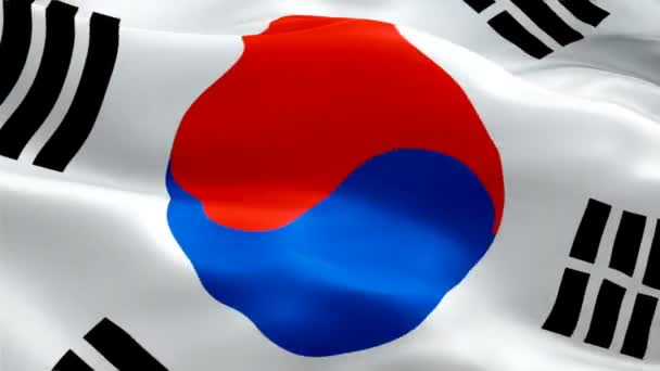 Korean Flag Closeup 1080P Full 1920X1080 Footage Video Waving Wind — Stock Video