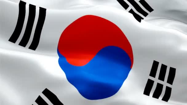 Silk Flag Animation South Korea Flag Video Waving Wind Realistic — Stock Video