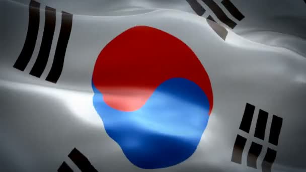 Coreia Sul Agitando Bandeira Bandeira Nacional Coreana Acenando Sinal Coreia — Vídeo de Stock