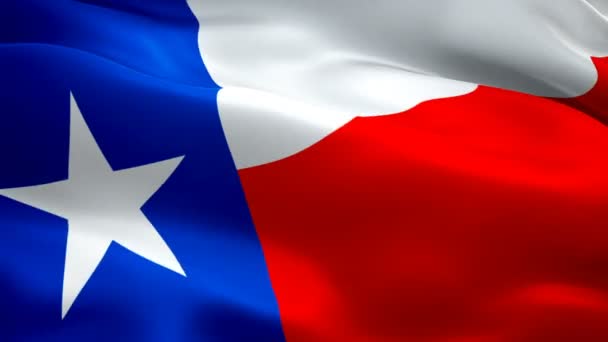 Verenigde Staten Texas State Vlag Zwaaien Wind Videobeelden Full Realistisch — Stockvideo