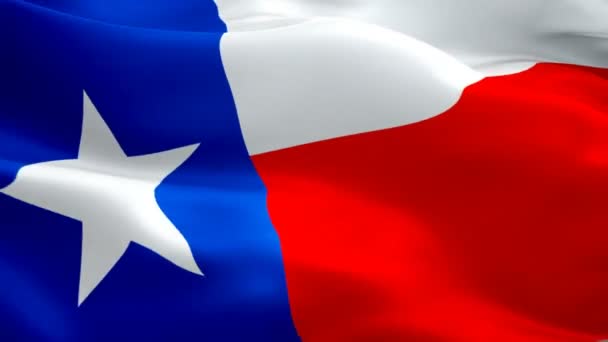Estado Texas Bandeira Closeup 1080P Full 1920X1080 Vídeo Acenando Vento — Vídeo de Stock
