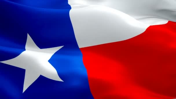 Bandeira Texas Vídeo Acenando Vento Fundo Realista Bandeira Estado American — Vídeo de Stock