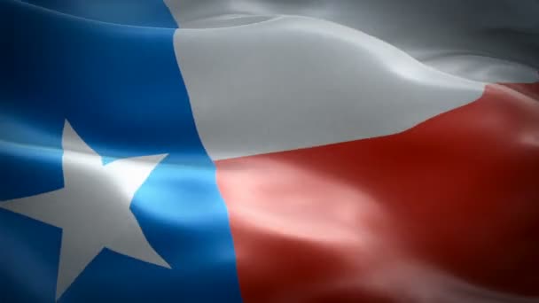 Bandera Texas Ondeando Bandera Nacional Los Estados Unidos Ondeando Signo — Vídeo de stock