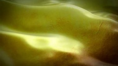 Altın Arka plan bayrağı Closeup 1080p Full Hd 1920x1080 görüntüleri rüzgarsal sallayarak. Altın doku. Lav, nougat, karamel, kehribar, bal, yağ. Altın sikke, mücevher, Para sorunsuz döngü animasyon Işareti