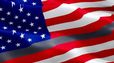 Düzeltmeler uygulama bayrağı video rüzgarda sallayarak. Gerçekçi İnce Gümüş Çizgi Bayrak arka plan. Düzeltmeler uygulama Bayrak Döngü Closeup 1080p Full Hd 1920x1080 görüntüleri. Düzeltmeler uygulama kolluk bayrağı