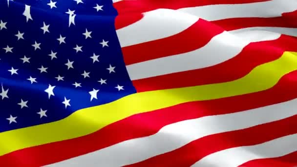 911 Anıtına Bayrak Sallıyor Ulusal Acil Tıbbi Müdahale Bayrağı Sallayarak — Stok video