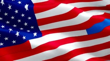 Acil Servis bayrak sallıyor. Ulusal 3d polis, itfaiye, 911 bayrak sallayarak. Sign of Emergency Service sorunsuz döngü animasyon. polis, itfaiyeciler, 911 bayrak Hd çözünürlük Arka Plan