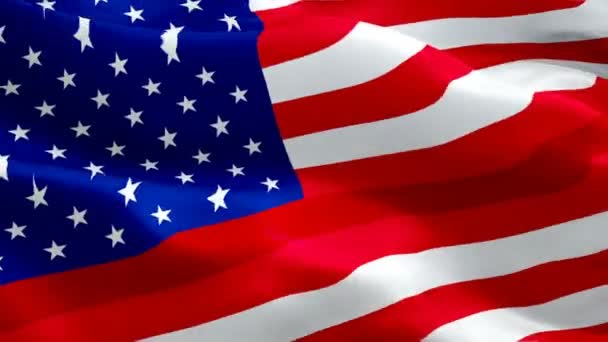 Tfaiyeci Memorial Bayrak Video Rüzgarda Sallayarak Gerçekçi Acil Tfaiye Bayrağı — Stok video