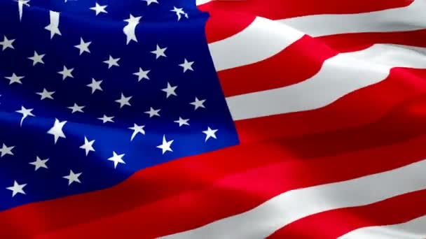 Tfaiyeci Anıtı Bayrak Sallıyor Ulusal Acil Tfaiye Bayrağı Sallayarak Sign — Stok video