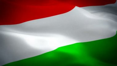 Macar bayrağı Closeup 1080p Full Hd 1920x1080 görüntüleri video rüzgarsal sallayarak. Ulusal Budapeşte 3d Macar bayrağı sallayarak. Macaristan burcu kesintisiz döngü animasyon. Macar bayrağı Hd çözünürlük Arka Plan 1080p