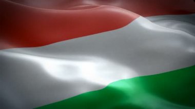 Macaristan bayrağı video rüzgarda sallayarak. Gerçekçi Macar Bayrağı arka plan. Budapeşte Macaristan Bayrak Döngü Closeup 1080p Full Hd 1920x1080 görüntüleri. Macaristan Avrupa Birliği ülke bayrakları/ Macaristan Macar Bayrağı