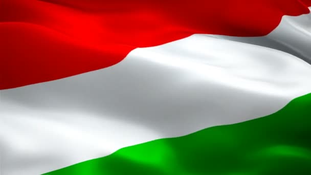 風のビデオ映像で手を振るハンガリーの旗フルHd 現実的なハンガリーの旗の背景 ハンガリーフラグループクローズアップ1080PフルHd 1920X1080映像 ハンガリー ヨーロッパの国旗 — ストック動画