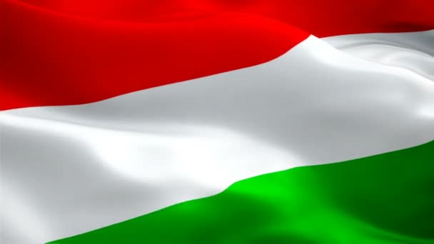 Hongarije Zwaaiende Vlag Nationale Hongaarse Vlag Zwaaiende Teken Van Hongarije — Stockvideo