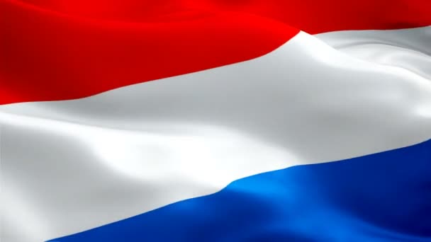 Dutch Flag Closeup 1080P Full 1920X1080 Footage Video Waving Wind — Stock Video