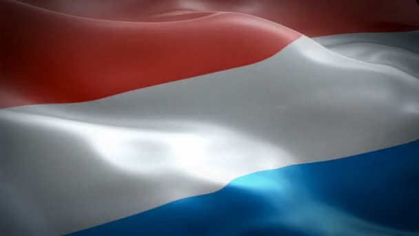 Hollanda Bayrak Video Rüzgarsal Sallayarak Gerçekçi Hollanda Bayrağı Arka Plan — Stok video