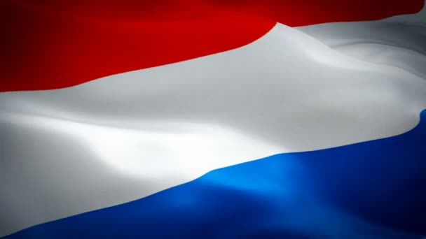 Países Bajos Ondeando Bandera Bandera Nacional Holanda Ondeando Signo Animación — Vídeos de Stock