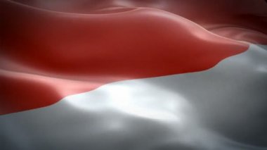 Monako bayrak Motion Loop video rüzgarsal sallayarak. Gerçekçi Monako Bayrağı arka plan. Monaco Flag Looping Closeup 1080p Full Hd 1920x1080 görüntüleri. Monako Avrupa ülkesi film için video bayrakları, haberler